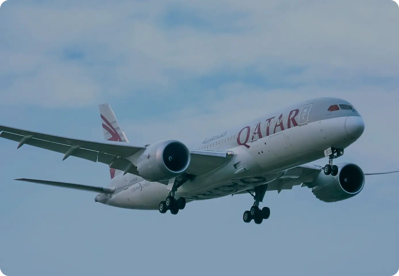 Find Cheap Flights