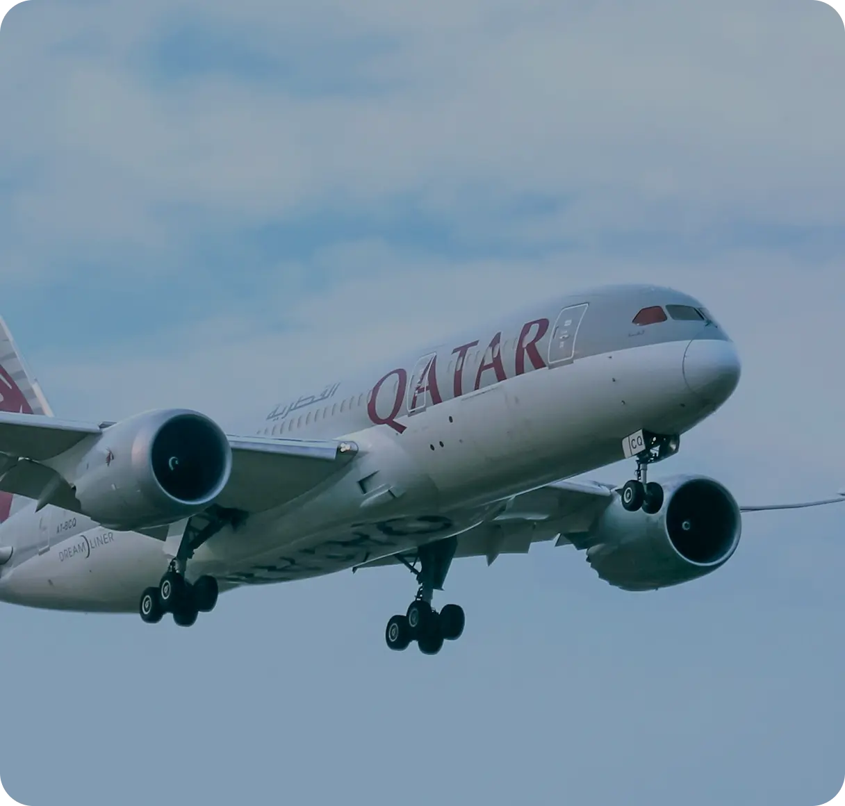 Find Cheap Flights