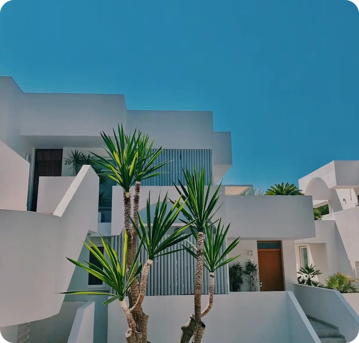 Book the Best Hotels